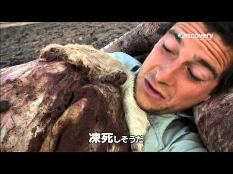 アウトドア好きな人〜色々話しましょう！