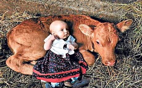 動物と赤ちゃんの組み合わせの画像を貼っていきましょう！