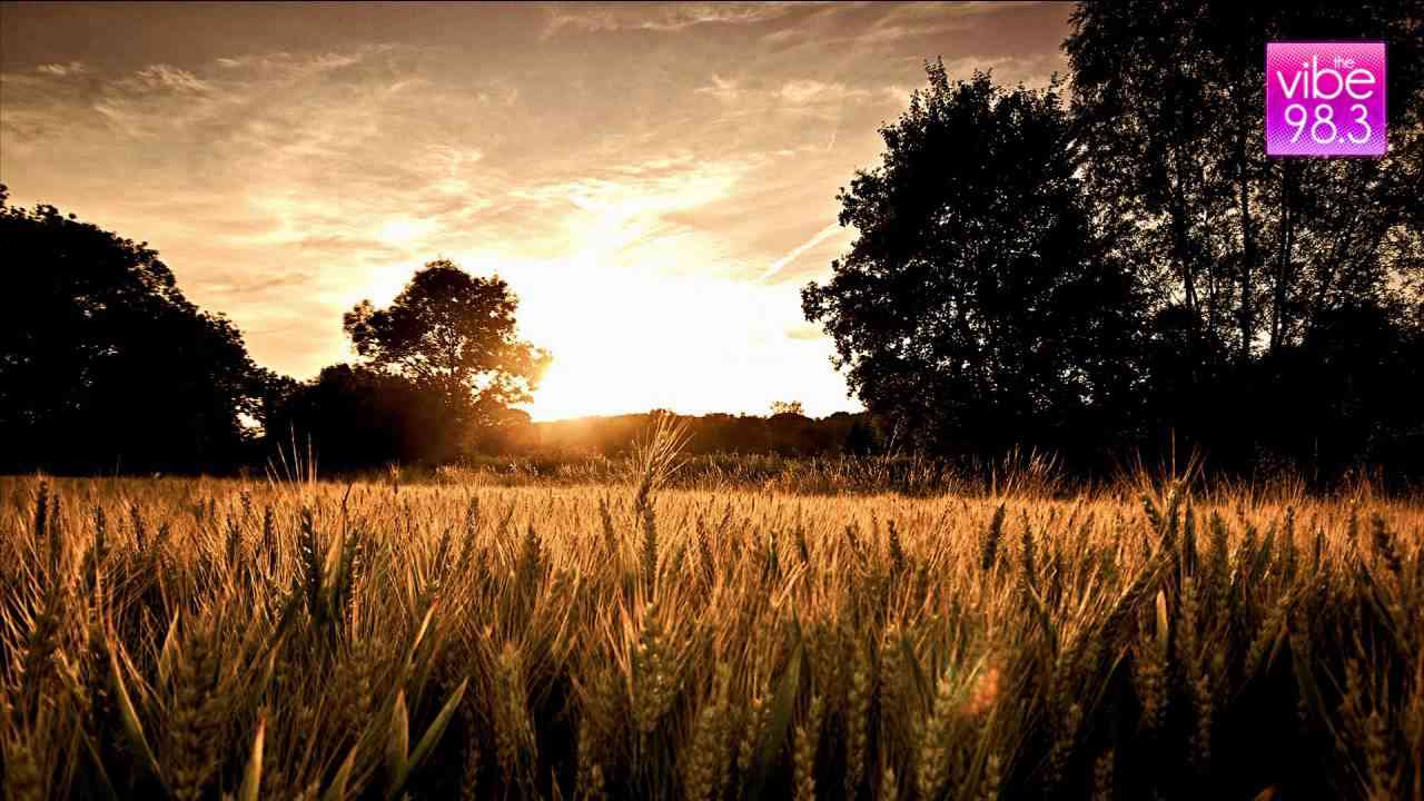 10cc - I'm Not In Love - YouTube