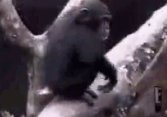 どこまでも脱線していくトピ