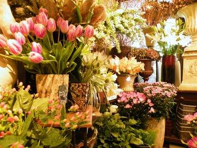 お見舞いの花を禁止する病院が増えている。「感染症の恐れ」と言うけれど…