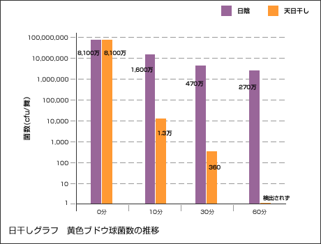 夜に洗濯する人、室内干しですか？外に干しますか？