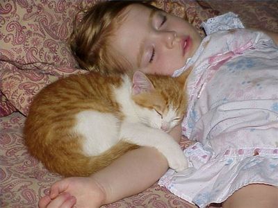 動物と赤ちゃんの組み合わせの画像を貼っていきましょう！