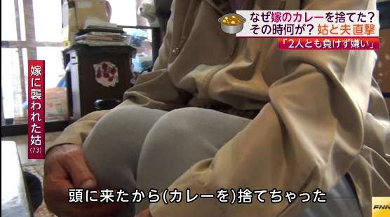 嫁が義母を殺害しようとした事件、姑「頭に来たからカレー捨てた。流しは片づけやすいでしょ」夫「板挟みになってるのが俺」原因は子供の教育方針か