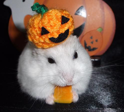 フィギュアdeハロウィンパーティー！