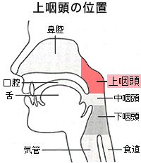 自律神経失調症の方いますか？