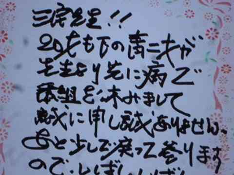 やしきたかじんさんの