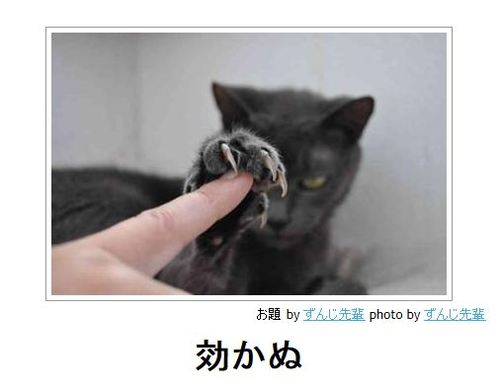 動物関連の「ボケて」貼ってください!