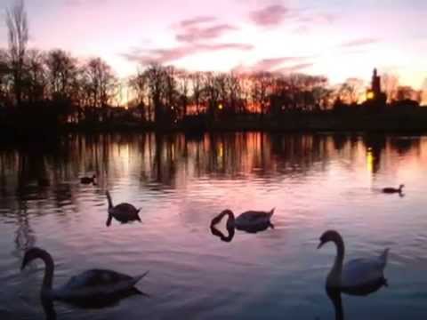 The Swan - Boston Pops Orchestra - YouTube