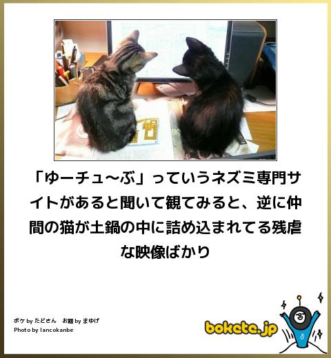 動物関連の「ボケて」貼ってください!