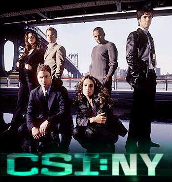 海外ドラマ「CSI:ニューヨーク」の日本の猫の置物についてのシーンが突っ込まずにはいられないwww