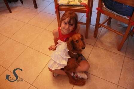 やしきたかじんさんの