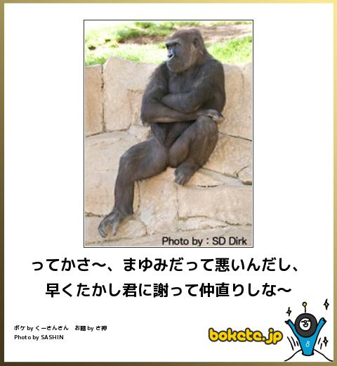 動物関連の「ボケて」貼ってください!