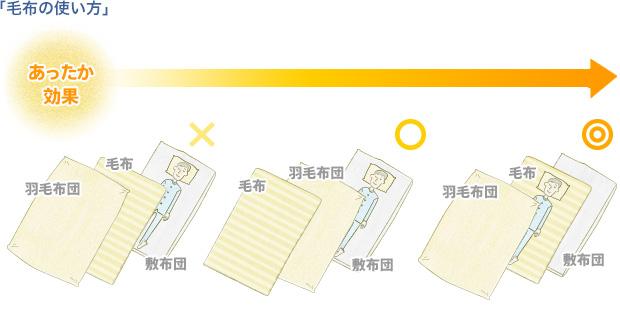 【目からうろこ】長年間違えていた毛布の使い方:ハムスター速報