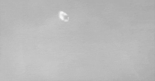 美しい雪の結晶の画像を下さい！