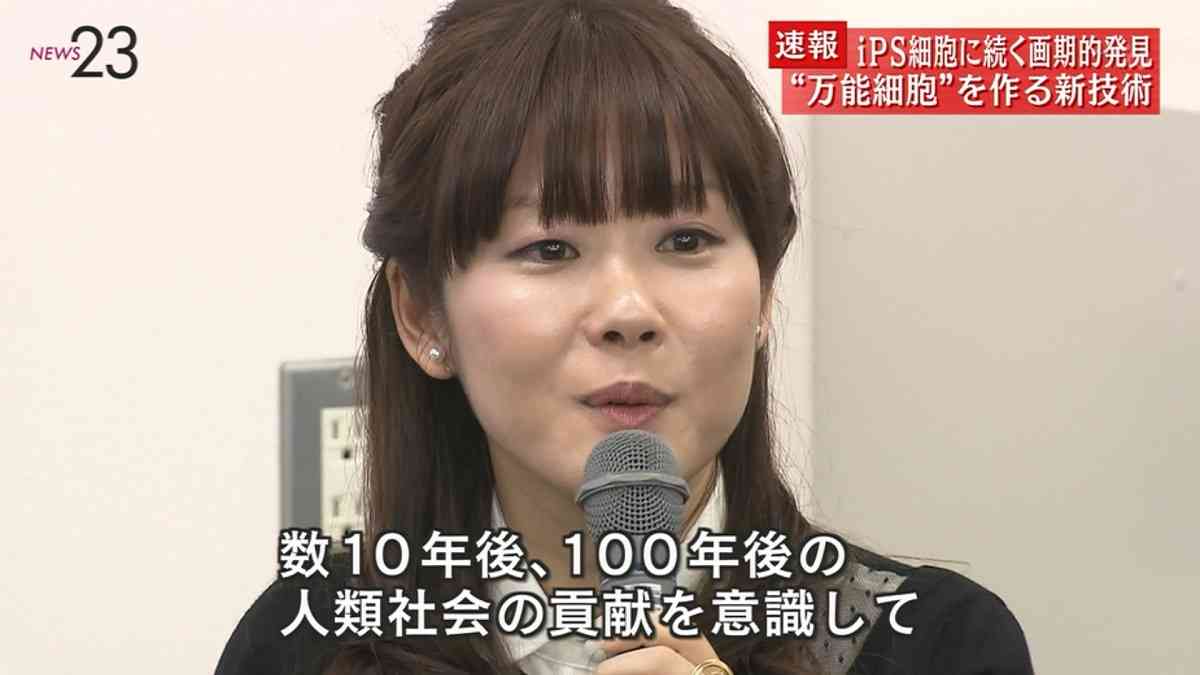 小保方晴子氏によるSTAP細胞検証実験、11月末に終了へ　結果を近く公表