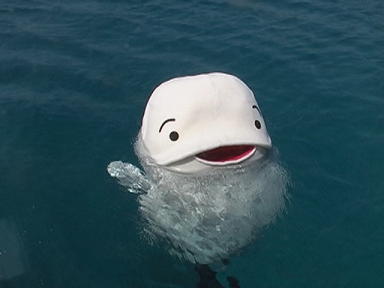 偶然うまくいった事!