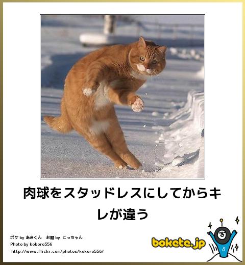 動物関連の「ボケて」貼ってください!