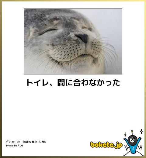 動物関連の「ボケて」貼ってください!