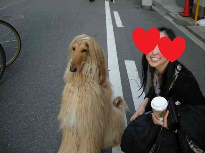 やしきたかじんさんの