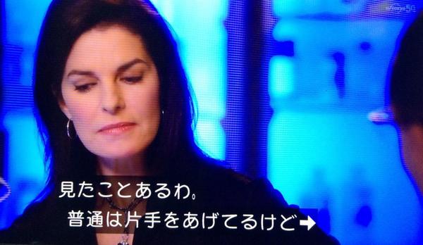 海外ドラマ「CSI:ニューヨーク」の日本の猫の置物についてのシーンが突っ込まずにはいられないwww