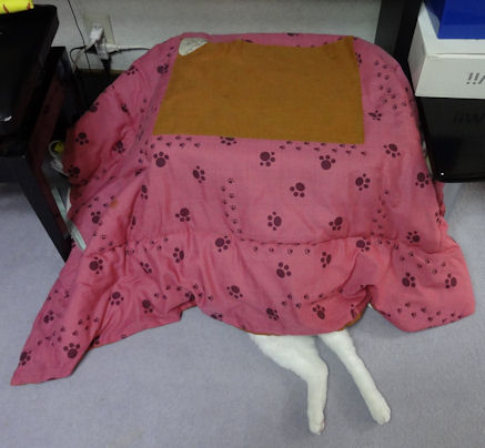 100均の材料で「猫用こたつ」を作った結果ｗ