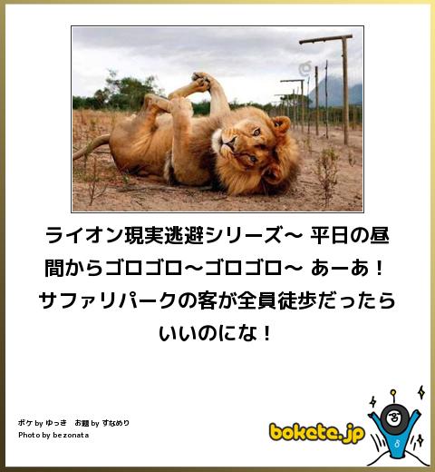 動物関連の「ボケて」貼ってください!