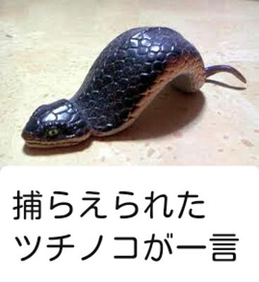     【ボケ】河童の居場所教えるんで見逃してもらえないっすかね…？ : ボケて（bokete）  