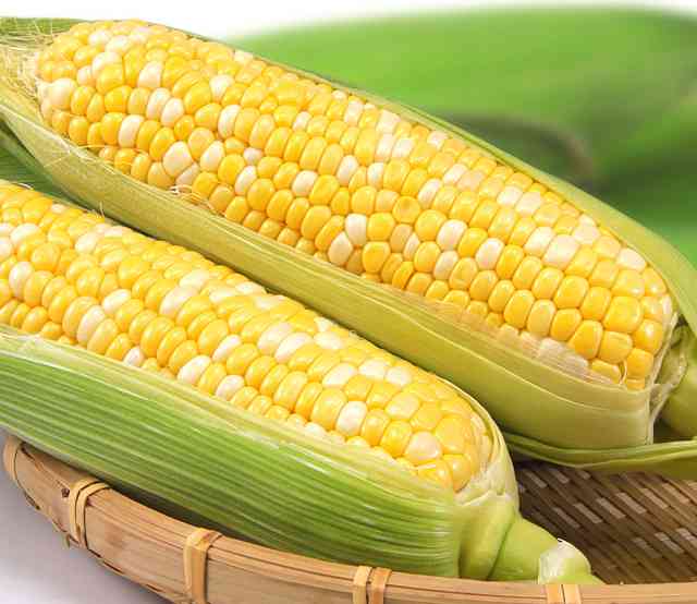 宝石のようにカラフルなトウモロコシがすごい！