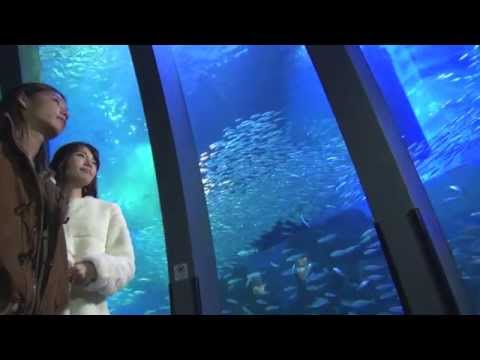 【聖南＆大輝】恋する二人のシーパラデート - YouTube
