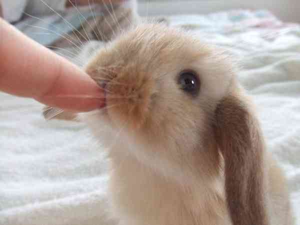 あなたはかまってちゃんですか？