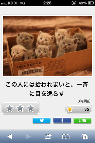 動物関連の「ボケて」貼ってください!