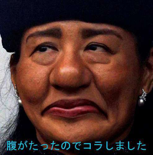 ガルちゃんで画像とサイトを張り付ける練習トピpart5