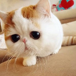 Twitpic - Share photos and videos on Twitter