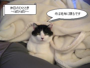 【目からうろこ】長年間違えていた毛布の使い方