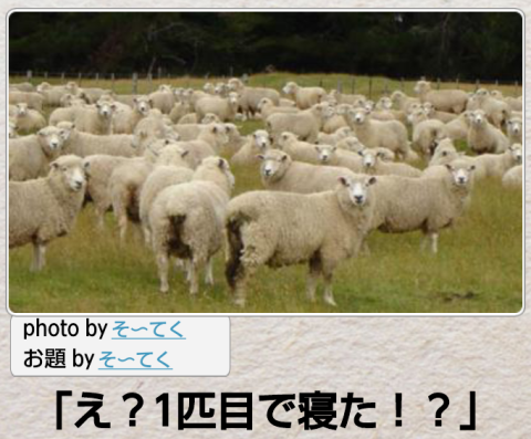 動物関連の「ボケて」貼ってください!