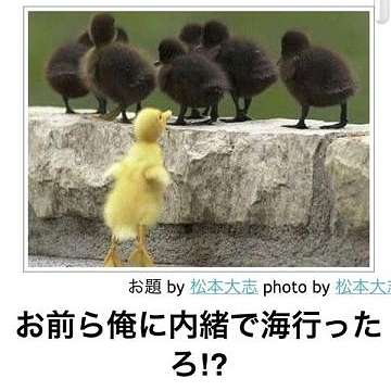 動物関連の「ボケて」貼ってください!