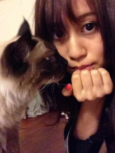 前田敦子、ペットは「猫が8匹、犬が6匹…」「知らない間にどんどん増えてる」