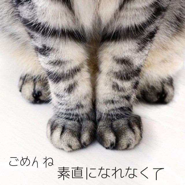 喧嘩をよくするカップルの方語りましょう