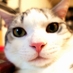 うだま on Twitter: 