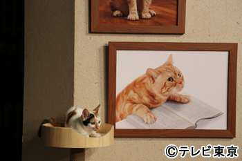 『ガルちゃん猫図鑑』