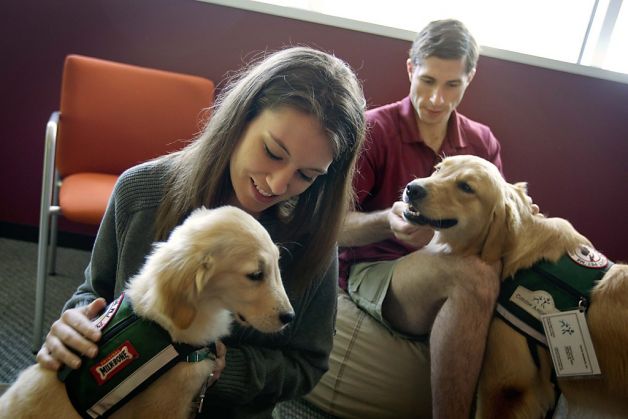 大学で講義を一緒に聴いていたマスコット犬、職員に毒殺され学生激怒