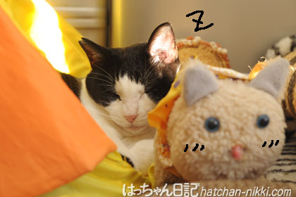 ガルちゃんで画像とサイトを張り付ける練習トピpart5