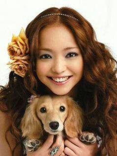 安室奈美恵 画像 [38614185] | 完全無料画像検索のプリ画像!