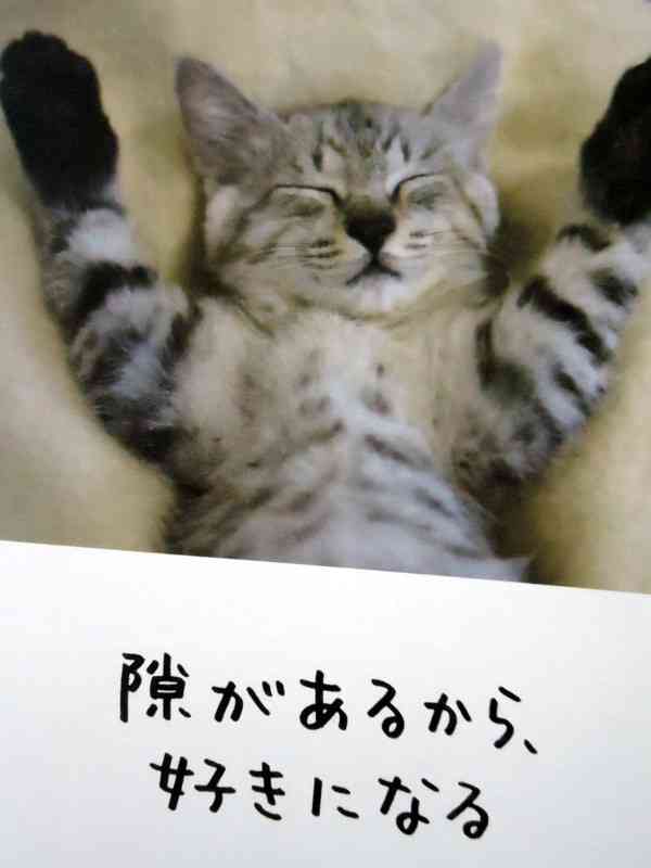 元気がでる画像ください！