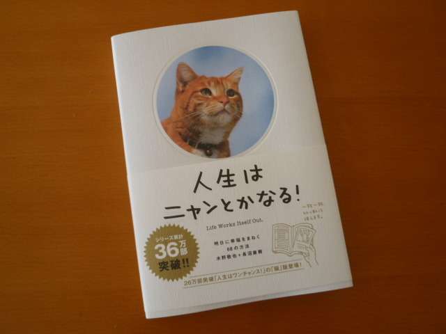 元気がでる画像ください！