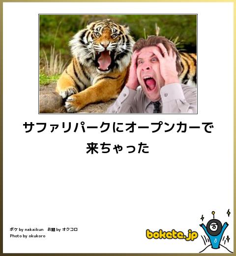 動物関連の「ボケて」貼ってください!