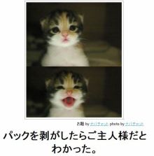 動物関連の「ボケて」貼ってください!