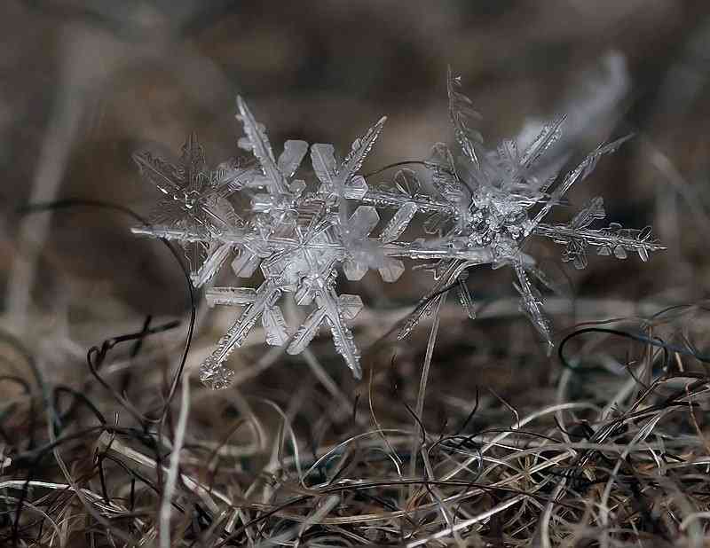 美しい雪の結晶の画像を下さい！