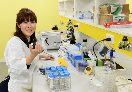 小保方晴子氏によるSTAP細胞検証実験、11月末に終了へ　結果を近く公表
